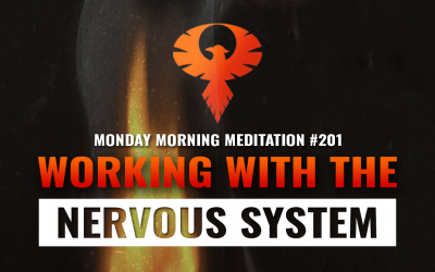 Working With The Nervous System To Maximize Growth