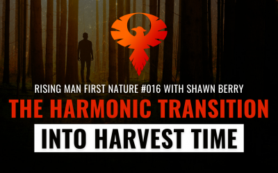 The Harmonic Transition Into Harvest Time