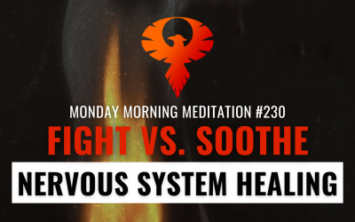 Fight vs. Soothe: How Men Can Heal Their Nervous Systems