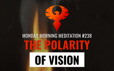 The Polarity Of Vision