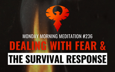 Dealing With Fear & The Survival Response