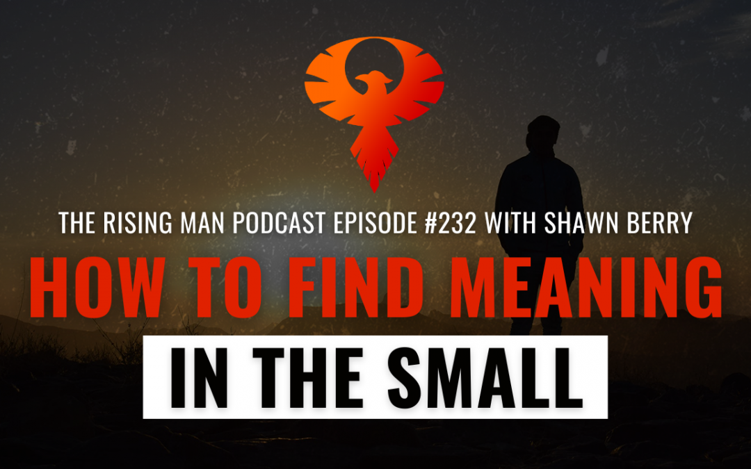 How To Find Meaning In The Small