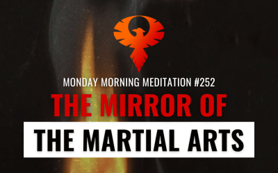 The Mirror Of The Martial Arts