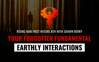 Your Forgotten Fundamental Earthly Interactions