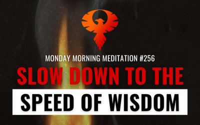 Slow Down To The Speed Of Wisdom