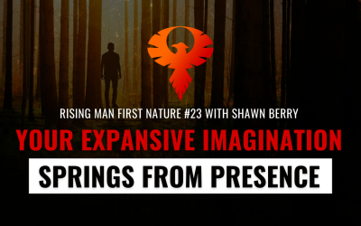 Your Expansive Imagination SPRINGS From Presence