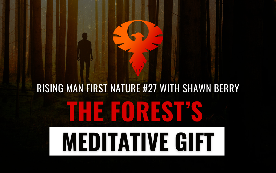 The Forest’s Meditative Gift with Shawn Berry