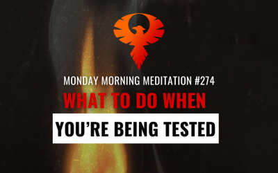What To Do When You’re Being Tested